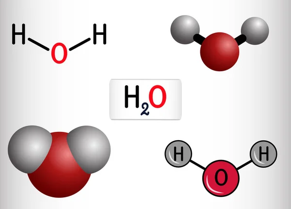 Wasser H2O Hoh Molekül Handelt Sich Eine Anorganische Hydroxyverbindung Sauerstoffhydrid — Stockvektor