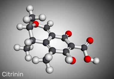 Citrinin molekülü. Penisilyum sitrinyumdan alınan antibiyotik ve mikotoksin. Moleküler model. 3 boyutlu görüntüleme. Görüntü