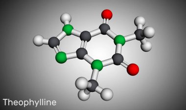 Teofilin ya da 1,3-dimetilksantin molekülü. Bu dimethylxanthine, xanthine türevi. Damar genişletici, bronkodilatör, astım, antiinflamatuar ilaç. Moleküler model. 3 boyutlu görüntüleme. Görüntü