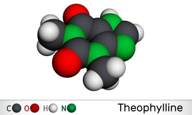 Teofilin ya da 1,3-dimetilksantin molekülü. Bu dimethylxanthine, xanthine türevi. Damar genişletici, bronkodilatör, astım, antiinflamatuar ilaç. Moleküler model. 3 boyutlu görüntüleme. Görüntü