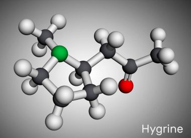 Hygrine pyrrolidine alkaloid molekülü. Kokain bitkisinin içinde bulunur. Moleküler model. 3 boyutlu görüntüleme. Görüntü