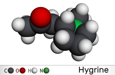 Hygrine pyrrolidine alkaloid molekülü. Kokain bitkisinin içinde bulunur. Moleküler model. 3 boyutlu görüntüleme. Görüntü