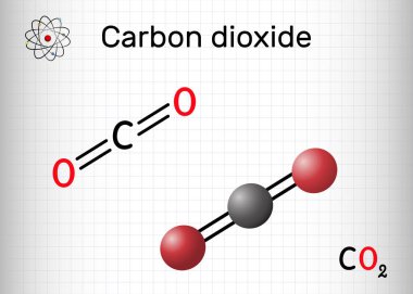 Karbondioksit, karbondioksit molekülü. Karbonik anhidrat, bir karbonlu bileşik, her oksijen atomuna çift bağ ile karbon bağlanıyor. Kafesteki bir kağıt parçası. Vektör illüstrasyonu
