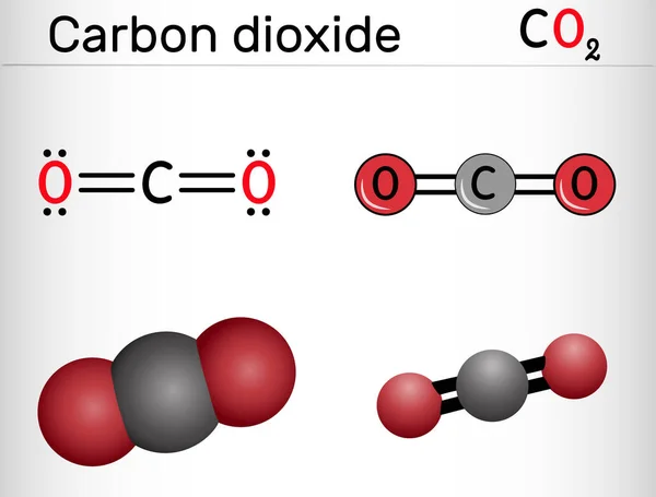 二氧化碳 二氧化碳分子 它是碳酸酐 一种一碳化合物 其中碳通过双键连接到每个氧原子上 结构化学公式 分子模型 — 图库矢量图片