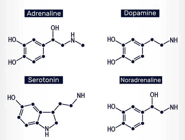 Adrenalina Epinefrina Dopamina Serotonina Moléculas Noradrenalina Neurotransmissores Monoaminérgicos Neuromoduladores Medicamentos — Vetor de Stock