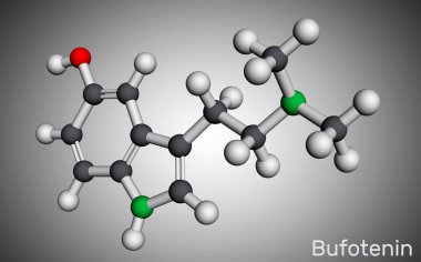 Bufotenin alkaloit molekülü. Triptamin türevi, halüsinojenik serotonin analogu, kurbağa derilerinde ve mantarlarda bulunur. Moleküler model. 3 boyutlu görüntüleme. Görüntü