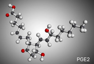 Prostaglandin E2 PGE2, dinoproston molekülü. Doğumu veya kürtajı tetiklemek için kullanılır. Moleküler model. 3 boyutlu görüntüleme. Görüntü