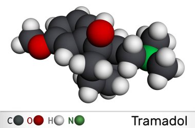 Tramadol molekülü. Bu sentetik psikotropik ağrı kesici, şiddetli ağrıların tedavisinde kullanılır. Moleküler model. 3 boyutlu görüntüleme. Görüntü