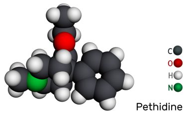 Pethidine, meperidin molekülü. Ağrı kesici ve ağrı kesici özellikleri olan bir opioid agonisti. Ilımlı ve şiddetli ağrıyı kontrol etmek için kullanılır. Moleküler model. 3 boyutlu görüntüleme. Görüntü