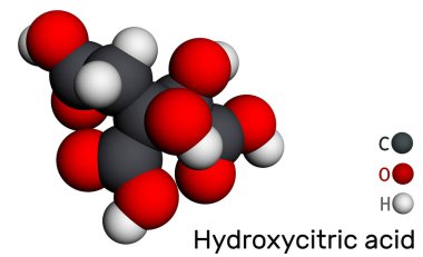 Hidroksisitrik asit, HCA molekülü. Sitrik asidin türevi. Moleküler model. 3 boyutlu görüntüleme. Görüntü