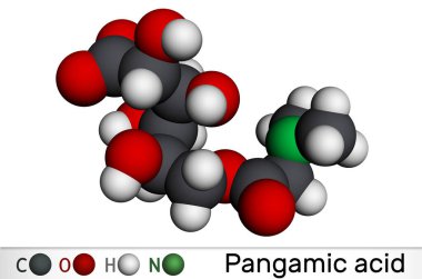 Pangamik asit, pangamat molekülü. B15 vitamini, ester glukonik asit ve dimetilglisinden türetilmiştir. Moleküler model. 3 boyutlu görüntüleme. Görüntü