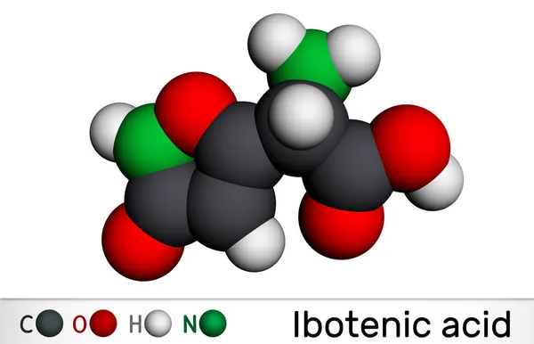 Ιβοτενικό Οξύ Ψυχοδραστικό Μόριο Φαρμάκου Είναι Πρωτεϊνογόνο Αμινοξύ Νευροτοξίνη Βρίσκεται — Φωτογραφία Αρχείου