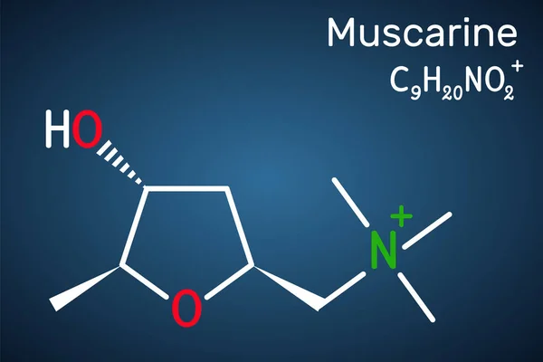 Muscarina Molécula Muscarina Alcaloide Tóxico Que Encuentra Amanita Muscaria Hongo — Vector de stock