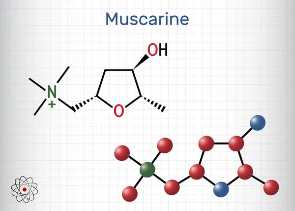 Muscarine Muscarin Molecule Toxic Alkaloid Found Amanita Muscaria Fly Fungus — Stock Vector