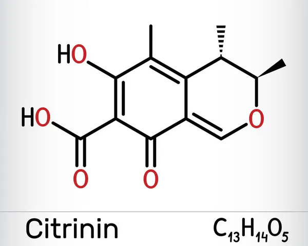 Molécula Cirinina Antibiótico Micotoxina Penicillium Citrinum Modelo Molecular Hoja Papel — Vector de stock