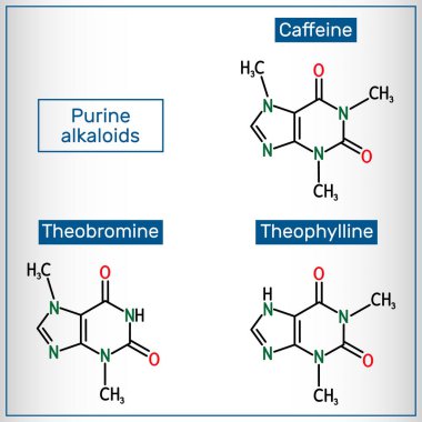 Bir dizi pürin alkaloit. Kafein, teofilin, teobromin molekülü. İskelet kimyasal formülü. Vektör illüstrasyonu