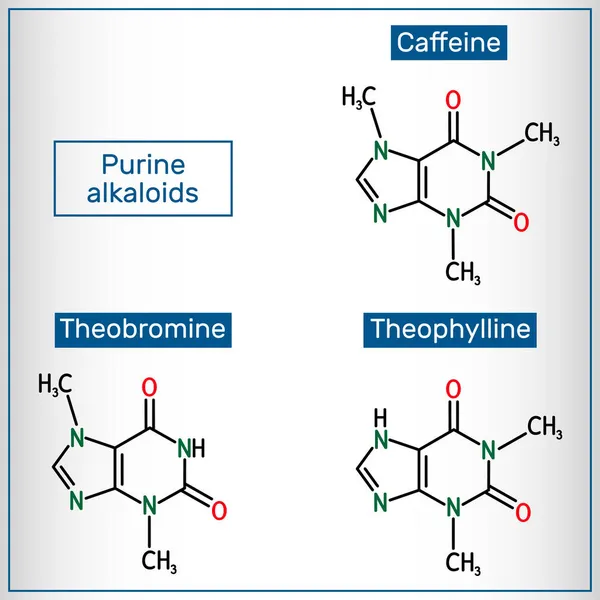 Conjunto Alcaloides Purina Cafeína Teofilina Teobromina Fórmula Química Esquelética Ilustración — Vector de stock