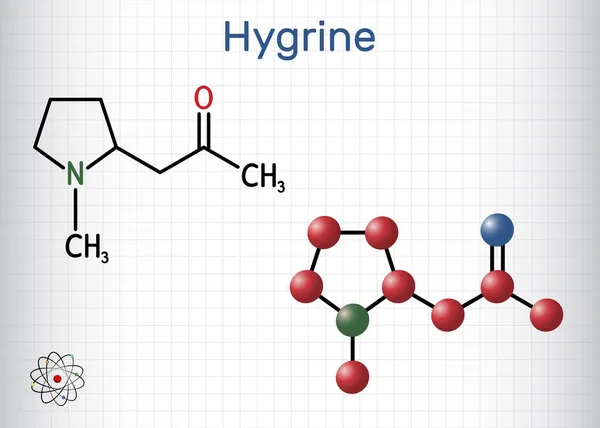 Hygrine Pyrrolidine Alkaloid Molecule Encuentra Planta Coca Fórmula Química Estructural — Vector de stock