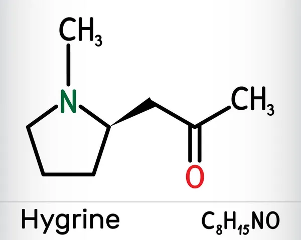 Hygronová Pyrrolidinová Alkaloidní Molekula Nachází Rostlině Koky Chemický Vzorec Vektorová — Stockový vektor