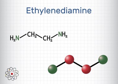 Etil lendiamin C2H8N2 molekülü. Temel amine, polietilen amine, kimyasal ürünlerin yapı bloğu üretimi. Yapısal formül, molekül modeli. Kafeste bir yaprak kağıt. Vektör illüstrasyonu