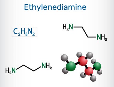 Etil lendiamin C2H8N2 molekülü. Birçok kimyasal ürünün üretimi için temel amine, polietilen amine, yapı bloğu. Yapısal kimyasal formül, molekül modeli. Vektör illüstrasyonu