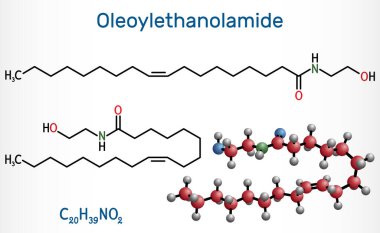 Oleoylethanolamide, oleoyl etanolamide, OEA molekülü. Bu oleik asit etanolamid, endokannabinoid anandamidin monondoymuş analogu. Yapısal kimyasal formül, molekül modeli. Vektör 