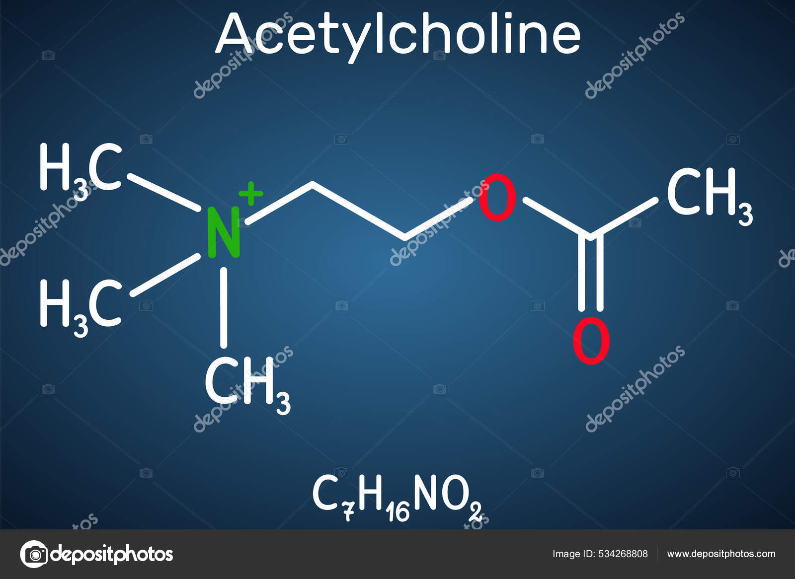 乙酰胆碱Ach分子它是副甲状旁腺功能的神经递质血管扩张剂人类代谢物深蓝色背景上的结构化学式矢量说明图库矢量图©avk97.yandex.by  534268808