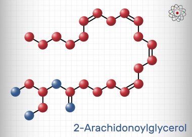 2-Arachidonoylgliserol, 2-AG molekülü. Omega-6 arachidonik asit ve gliserolden oluşan bir endokannabinoid. Molekül modeli. Kafesteki bir kağıt parçası. Vektör illüstrasyonu