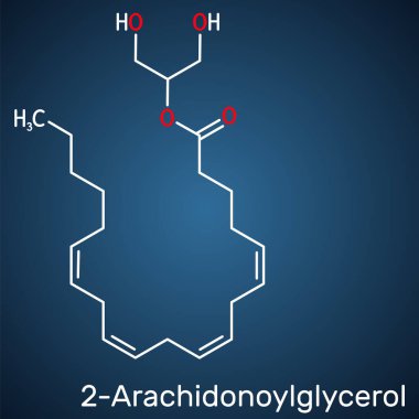 2-Arachidonoylgliserol, 2-AG molekülü. Omega-6 arachidonik asit ve gliserolden oluşan bir endokannabinoid. Koyu mavi arkaplanda yapısal kimyasal formül. Vektör illüstrasyonu