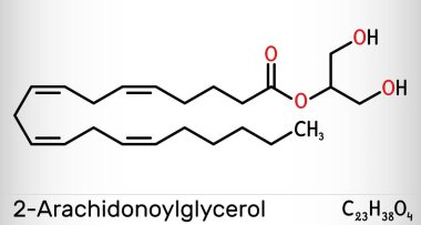2-Arachidonoylgliserol, 2-AG molekülü. Omega-6 arachidonik asit ve gliserolden oluşan bir endokannabinoid. İskelet kimyasal formülü. Vektör illüstrasyonu