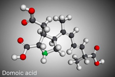 Domoik asit, DA nörotoksin molekülü. Diatomik alg Pseudo-nitzschia tarafından üretilen kainik asidin analogu. Moleküler model. 3 boyutlu görüntüleme. Görüntü