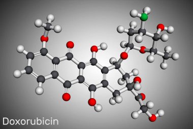 Doxorubicin molekülü. Antraksilin antibiyotiği. Antiinoplastik aktivitesi var. Bir kemoterapi ilacı. Moleküler model. 3 boyutlu görüntüleme. Görüntü