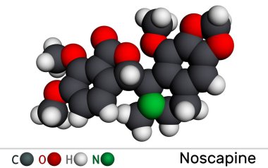 Burun kapağı molekülü. Antitusif özellikleri için kullanılan sakinleştirici olmayan izokinolin alkaloididir. Moleküler model. 3 boyutlu görüntüleme. Görüntü