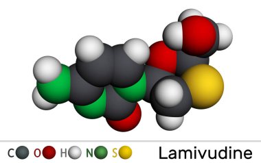 Lamivudine, 3TC ilaç molekülü. İnsan Bağışıklık Yetmezliği Tipi 1 (HIV-1) ve Hepatit B virüsünün (HBV) tedavisinde kullanılır. Moleküler model. 3B görüntüleme