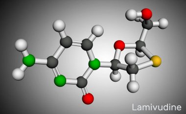 Lamivudine, 3TC ilaç molekülü. İnsan Bağışıklık Yetmezliği Tipi 1 (HIV-1) ve Hepatit B virüsünün (HBV) tedavisinde kullanılır. Moleküler model. 3B görüntüleme