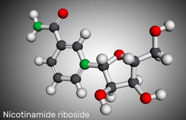 Nicotinamide riboside, NR, SR647 molekülü. Bu, B3 vitaminine benzer iN-glikoliznikotinamit, pyridine nükleosit. Moleküler model. 3 boyutlu görüntüleme. Görüntü