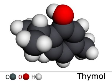 Timol, IPMP molekülü. Bu fenol, cymene 'nin doğal monoterpene türevi. Kekik yağı veya diğer uçucu yağlardan elde edilmiş. Moleküler model. 3 boyutlu görüntüleme. Görüntü