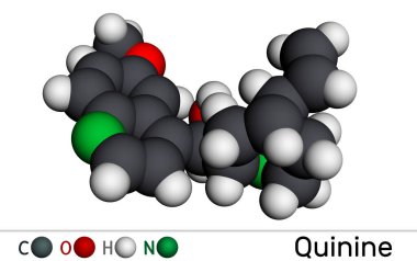 Kinin molekülü. Sıtma ve babesiyozun tedavisinde kullanılan cinchona ağacının kabuğundan elde edilen doğal bir alkaloittir. Moleküler model. 3 boyutlu görüntüleme. Görüntü