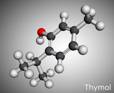 Timol, IPMP molekülü. Bu fenol, cymene 'nin doğal monoterpene türevi. Kekik yağı veya diğer uçucu yağlardan elde edilmiş. Moleküler model. 3 boyutlu görüntüleme. Görüntü