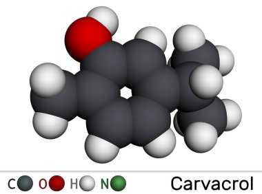 Carvacrol, cymophenol molekülü. Cymene 'nin doğal monoterpene türevi, bakteriyel büyümenin inhibitörü, besin katkı maddesi olarak kullanılır. Moleküler model. 3 boyutlu görüntüleme. Görüntü
