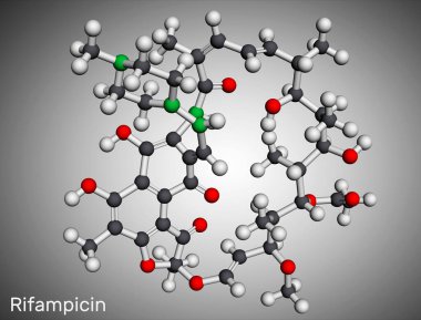 Rifampicin, rifampin molekülü. Mikobakteriyel enfeksiyonları, cüzzamlılığı, tüberkülozu ve Mycobacterium avium kompleksini tedavi etmek için kullanılan yarı sentetik bir antibiyotiktir. Moleküler model. 3 boyutlu görüntüleme. Görüntü