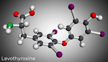 Levotiroksin, L-tiroksin, molekül. Tiroid hormonu olan T4 hormonu, hipotiroidizmi tedavi etmek için kullanılır. Moleküler model. 3 boyutlu görüntüleme. Görüntü