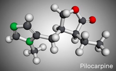 Pilokarpin, molekül. Bu doğal bir alkaloit, gözde yüksek göz içi basıncı ve glokom tedavisinde kullanılır. Moleküler model. 3 boyutlu görüntüleme. Görüntü