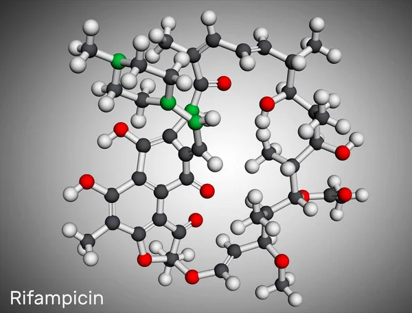 Rifampicin, rifampin molekülü. Mikobakteriyel enfeksiyonları, cüzzamlılığı, tüberkülozu ve Mycobacterium avium kompleksini tedavi etmek için kullanılan yarı sentetik bir antibiyotiktir. Moleküler model. 3 boyutlu görüntüleme. Görüntü