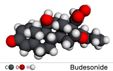 Budesonide, BUD molekülü. Crohn hastalığını tedavi etmek için kullanılan kortikosteroid. Astım, KOAH, saman nezlesi, alerji, ülseratif kolit. Moleküler model. 3 boyutlu görüntüleme. Görüntü