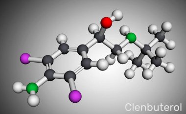 Clenbuterol molekülü. Bu sempatik amfetamin, dekonjestan ve bronkodilatör, solunum koşullarında ve astımda kullanılır. Moleküler model. 3 boyutlu görüntüleme. Görüntü