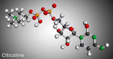 Citicoline, CDP-kololine, sitodin difosfat-kolin molekülü. Besin takviyesi için moleküler model olarak kullanılır. 3 boyutlu görüntüleme. Görüntü
