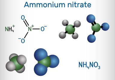 Amonyum nitrat, NH4NO3 molekülü. Nitrik asitin amonyum tuzu. Antibiyotik ve maya üretiminde gübre ve patlayıcı yapımında kullanılır. Yapısal kimyasal formül, molekül modeli. Vektör illüstrasyonu