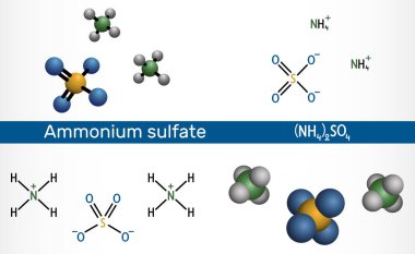 Amonyum sülfat, amonyum sülfat molekülü. İki eşdeğer amonyak içeren sülfürik asit reaksiyonuyla elde edilen inorganik sülfat tuzu. Yapısal kimyasal formül, molekül modeli. Vektör illüstrasyonu
