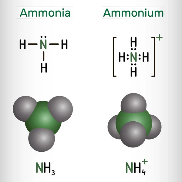 铵阳离子 Nh4和氨 Nh3分子 结构化学公式和分子模型 矢量说明 — 图库矢量图片